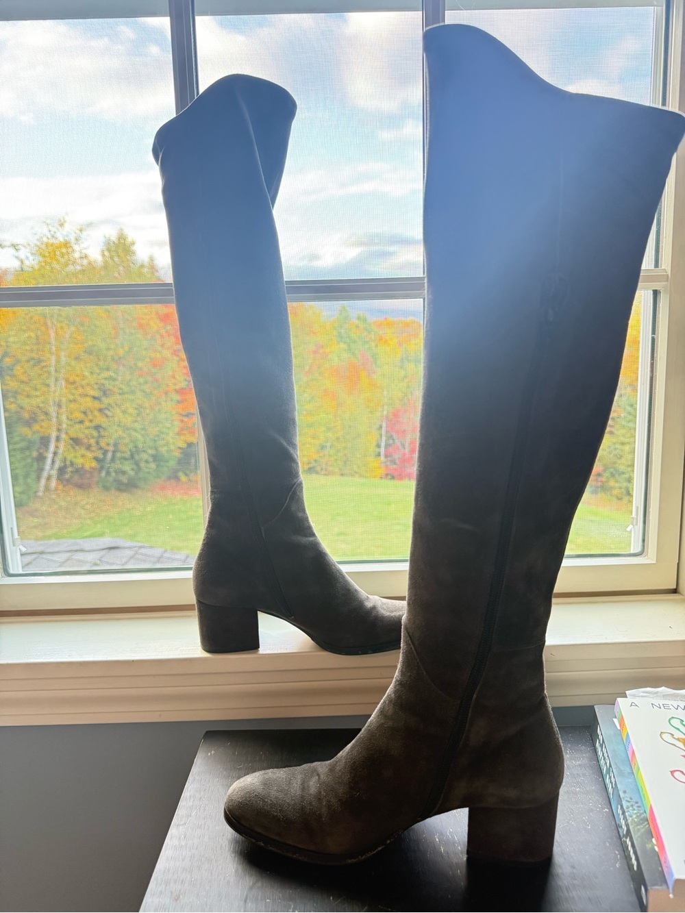 La CANADIENNE Grey Over-the-Knee Suede Boots